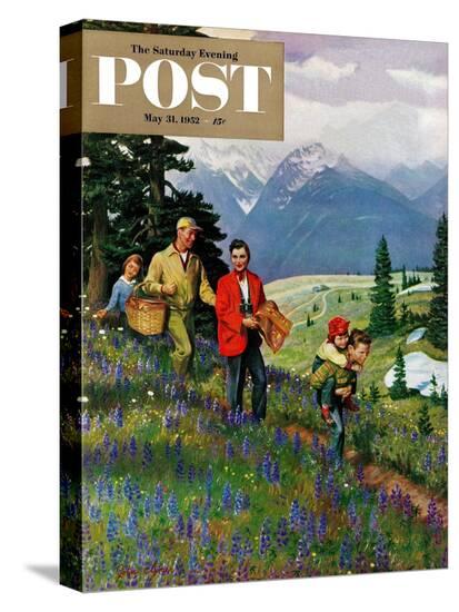 Stretched Canvas Print, , large