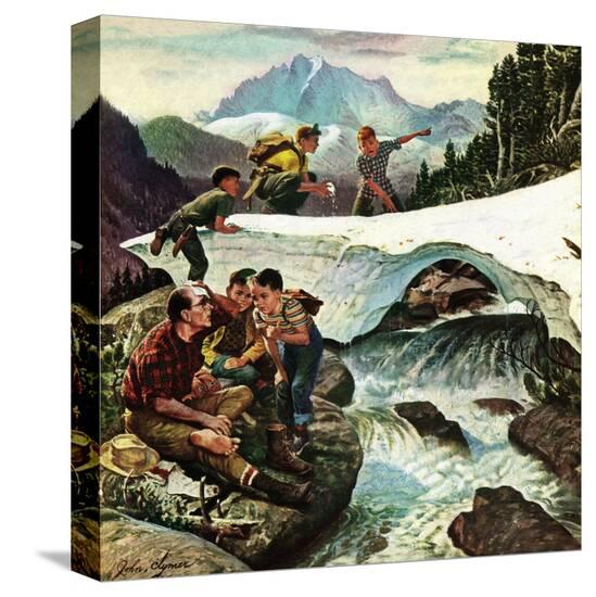Stretched Canvas Print, , large