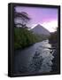 Essential Black