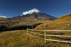 Cotopaxi National Park, Snow-Capped Cotopaxi Volcano-John Coletti-Photographic Print