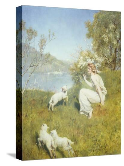 Stretched Canvas Print, , large