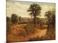 Wood Mount