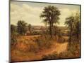 Wood Mount