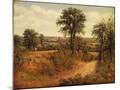 Wood Mount