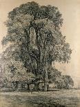 Wivenhoe Park, Essex, 1816-John Constable-Giclee Print