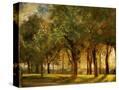 Stretched Canvas