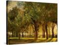 Stretched Canvas