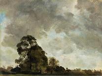 Hampstead Heath from Near Well Walk, 1834-John Constable-Giclee Print