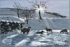 Winter Afternoon at Dentdale, 1991-John Cooke-Giclee Print
