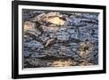 Gramercy Black