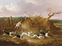 Beagles in Full Cry, 1845-John Dalby-Giclee Print