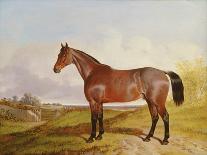 The Quorn Hunt in Full Cry: Second Horses-John Dalby-Mounted Giclee Print