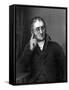 John Dalton, English Chemist, C1860-null-Framed Stretched Canvas