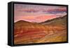 John Day Fossil Beds, Oregon-Lantern Press-Framed Stretched Canvas