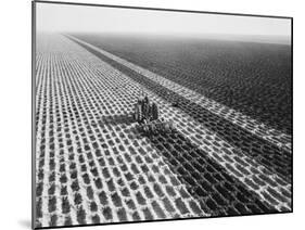 John Deere Model "G" Tractor in Field-Philip Gendreau-Mounted Premium Photographic Print