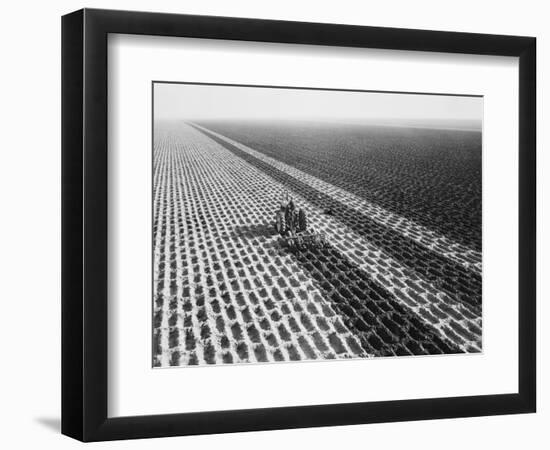 John Deere Model "G" Tractor in Field-Philip Gendreau-Framed Photographic Print