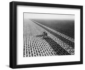 John Deere Model "G" Tractor in Field-Philip Gendreau-Framed Photographic Print