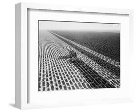 John Deere Model "G" Tractor in Field-Philip Gendreau-Framed Photographic Print