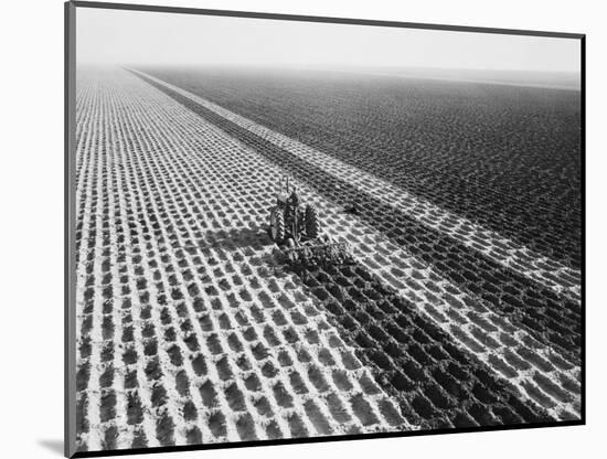 John Deere Model "G" Tractor in Field-Philip Gendreau-Mounted Photographic Print