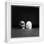 White Frame