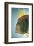 John Dory (Zeus Faber) Portrait, Babbacombe Bay, Devon, UK-Alex Mustard-Framed Photographic Print