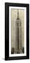 Brown Frame