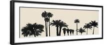Black Frame