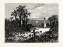 Moonrise on the Coast of Florida-John Douglas Woodward-Giclee Print