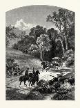 A Hummock, Florida-John Douglas Woodward-Giclee Print