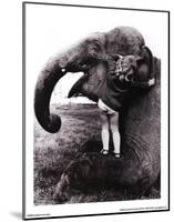 John Drysdale (An Elephant Never Forgets) Art Poster Print-null-Mounted Poster