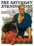 "Bushel of Apples," Saturday Evening Post Cover, November 14, 1931-John E. Sheridan-Giclee Print