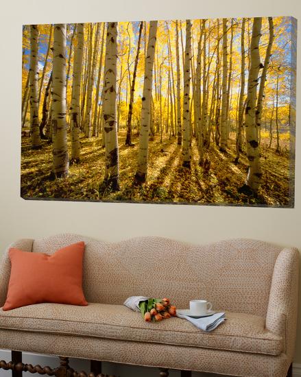 Loft Art, , large