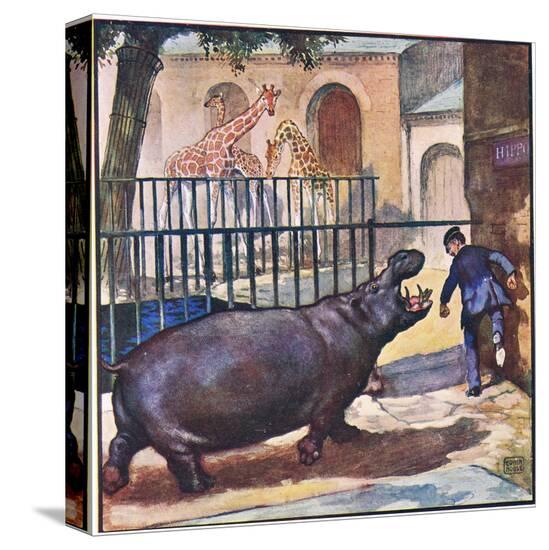 Stretched Canvas Print, , large