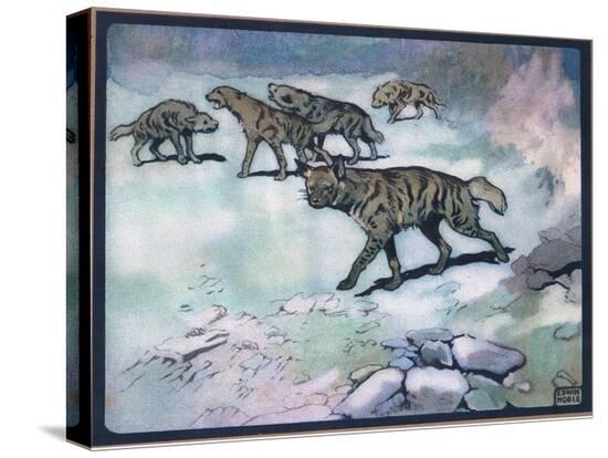 Stretched Canvas Print, , large
