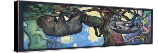 Stretched Canvas Print, , large