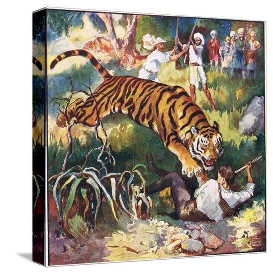 Stretched Canvas Print, , large