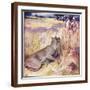 Brown Frame