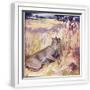 White Frame