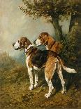 Two Hounds in a Landscape-John Emms-Giclee Print