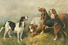 Otter Hounds by a Bridge-Tired Out-John Emms-Giclee Print