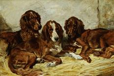 Two Hounds in a Landscape-John Emms-Giclee Print