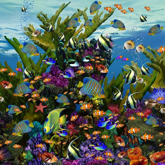 Art Print, , large