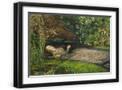 Black Frame