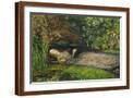 Brown Frame
