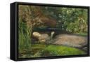 Canvas Black