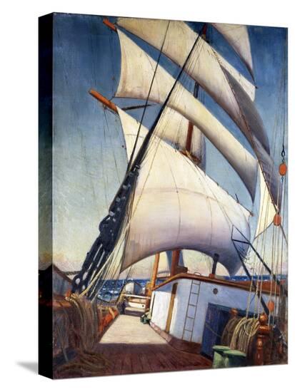 Stretched Canvas Print, , large