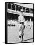 John Evers Chicago Cubs Portrait View Baseball Photograph - Chicago, IL-Lantern Press-Framed Stretched Canvas