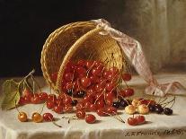 A Basket of Cherries-John F. Francis-Framed Giclee Print