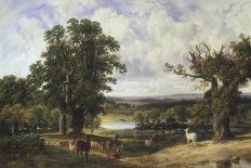 Richmond Park-John F. Tennant-Framed Giclee Print