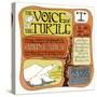 John Fahey - The Voice of the Turtle-null-Stretched Canvas
